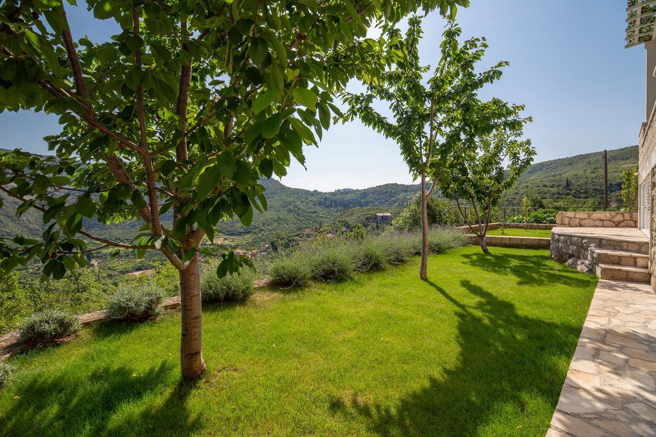 Green Paradise Apartments Mokošica Buitenkant foto